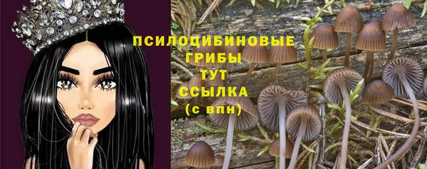 шишки Богданович